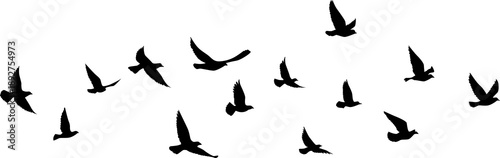 Flying birds silhouettes pattern wallpaper. PNG transparent. isolated bird flying. tattoo design. template for card, package, and wallpaper.