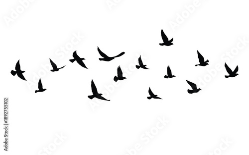 Flying birds silhouettes pattern wallpaper. Vector illustration. isolated bird flying. tattoo design. template for card, package, and wallpaper.
