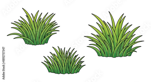 Illustration of three clumps of green grass in varying sizes, set against a white background.