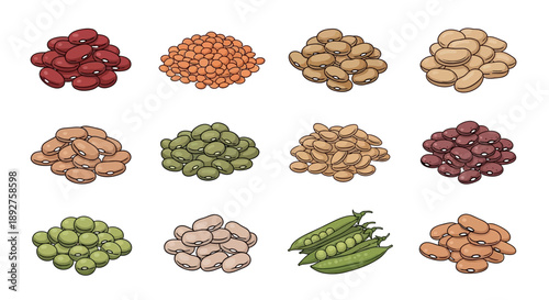 Illustration of various legumes including kidney beans, lentils, chickpeas, and peas, highlighting nutritional benefits on World Pulses Day with a vector graphic style against a clean white