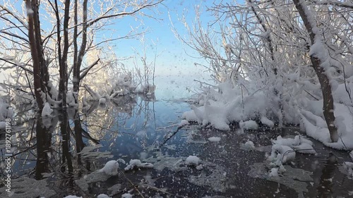Beautiful natural scenery of a snow-covered city pond with trees covered in snow on a clear winter day.