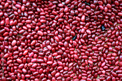 Photos red kidney beans background