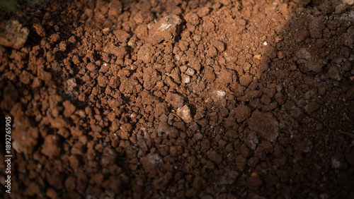 Textured fertile soil as background