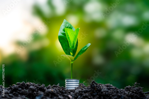 Renewable energy concept Earth Day or environment protection Hands protect forests that grow on the ground and help save the world.