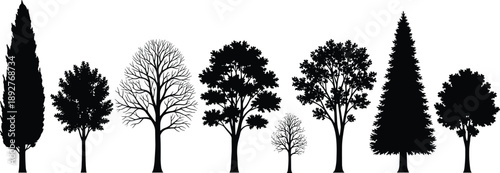 Black Silhouette Collection of Various Tree Species Including Pine Cedar Oak and Bare Winter Trees Set Isolated on White Background for Forest Landscape Design