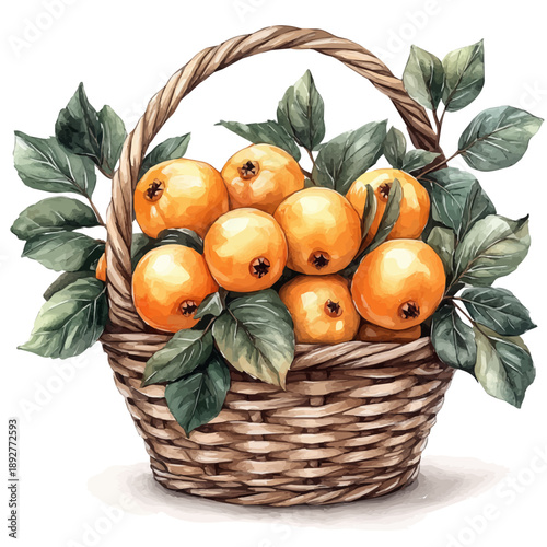 Cloudberry Fruit Basket, watercolor painting vector, isolated on a white background.