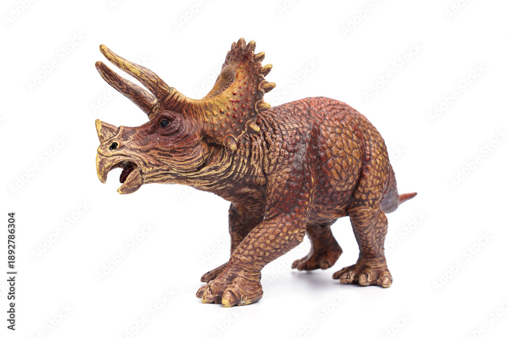 Fototapeta premium Triceratops dinosaur hard plastic toy isolated on white background.