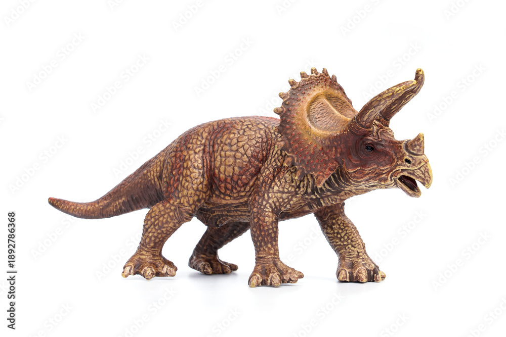 Fototapeta premium Triceratops dinosaur hard plastic toy isolated on white background.