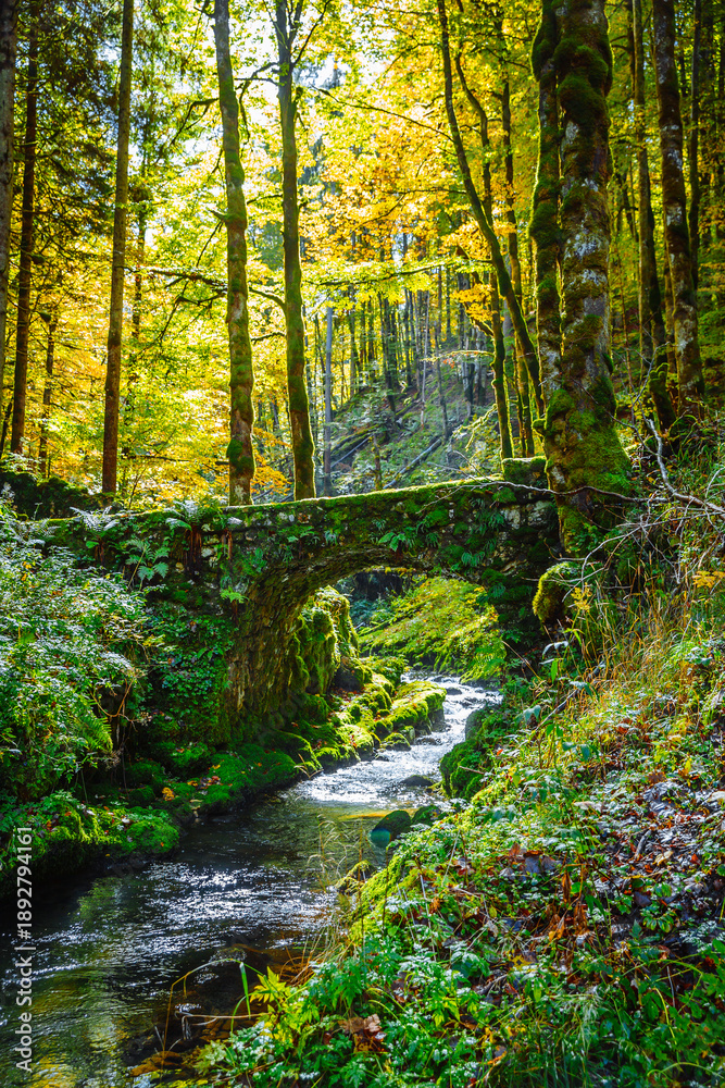Obraz premium Beautiful ancient stone bridge lost in a forest