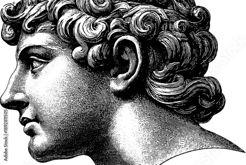 Classical statue side profile with vintage botanical elements for artistic design