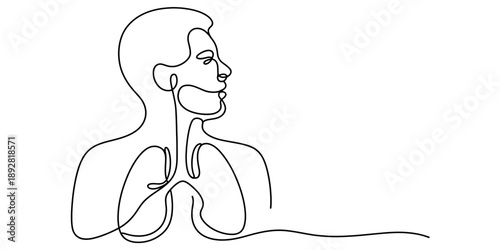 Continuous single line art illustration showing human lungs and respiratory system Vector, illustration