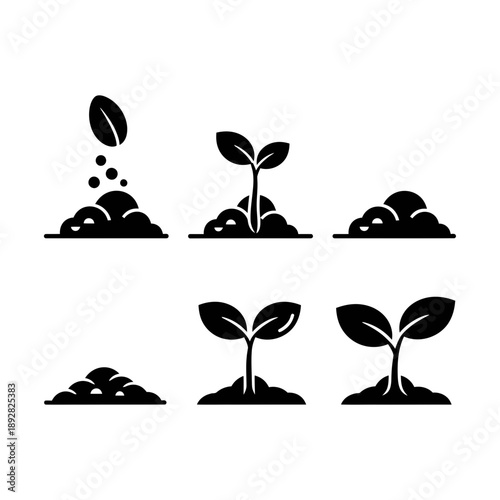 Seed Germination Flat Outline Icon Collection

