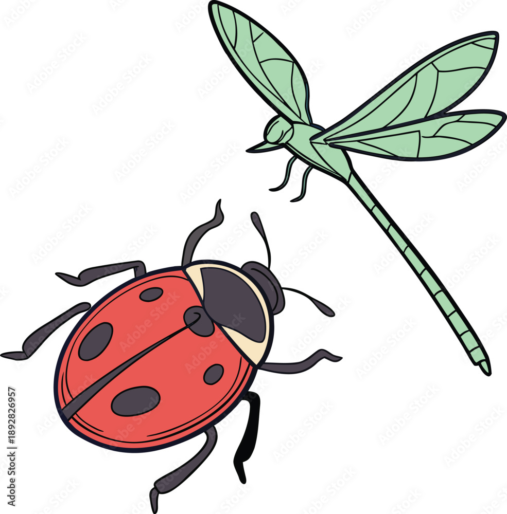 Fototapeta premium Friendly ladybug and dragonfly interacting in garden air