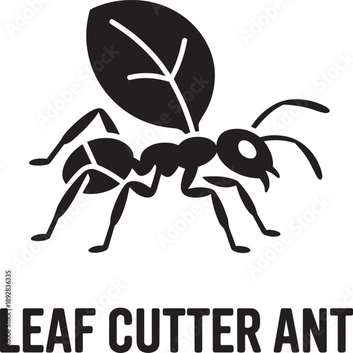 Leaf cutter ant icon flat vector illustration for apps and websites on transparent background