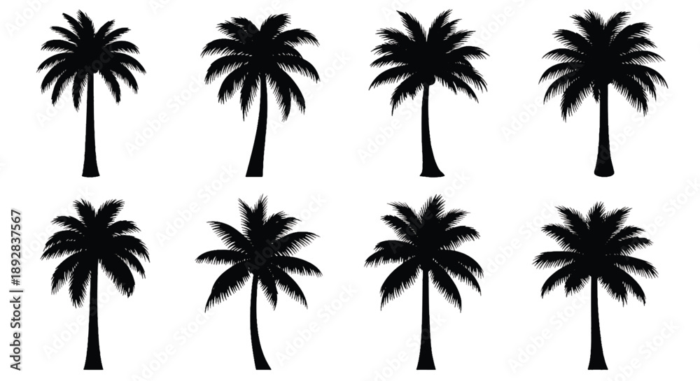 Fototapeta premium Assortment of Black Palm Tree Silhouettes tropical