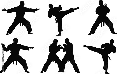 Black silhouettes of martial artists in karate poses including high kicks and fighting stances for combat sports design