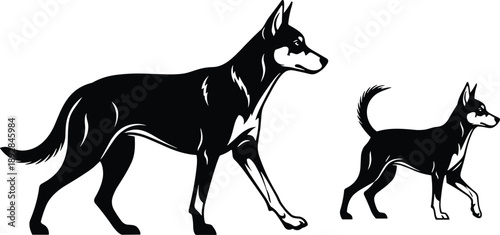 Dog growth silhouette showing puppy and adult stages, canine development concept, animal evolution illustration isolated on white background