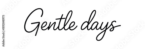 Clean modern monoline hand lettering of the phrase: Gentle days . Smooth single line strokes rounded ends subtle right slant and kerning high readability vector like crisp edges black ink