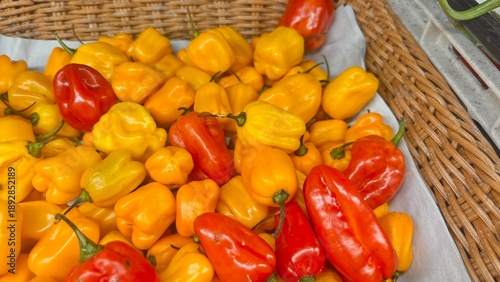 red and yellow peppers in a basket