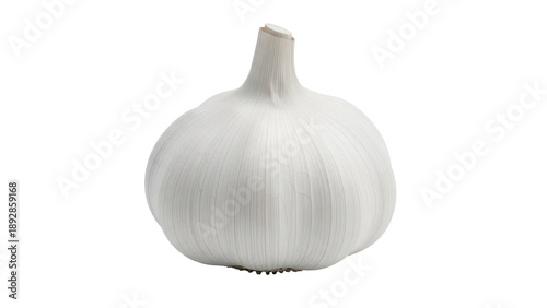 Single Garlic Bulb Isolated on Transparent Background