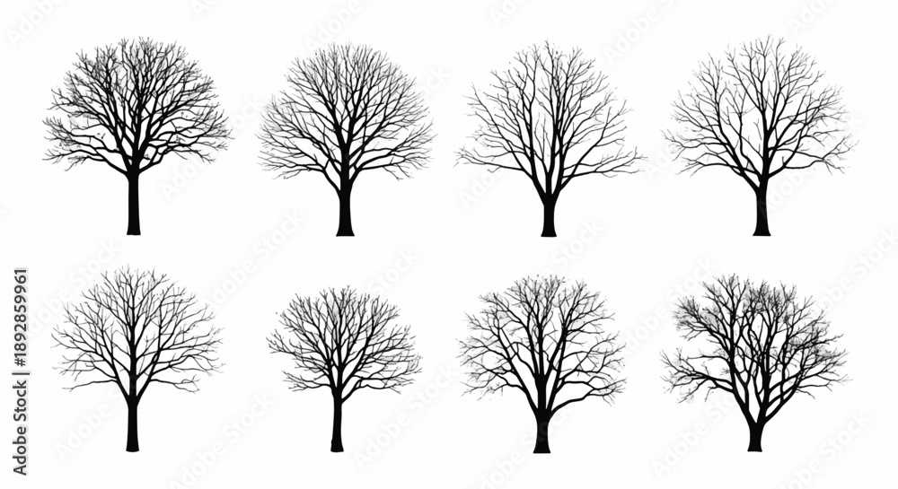 Fototapeta premium Collection of bare winter tree silhouettes trees bare trees