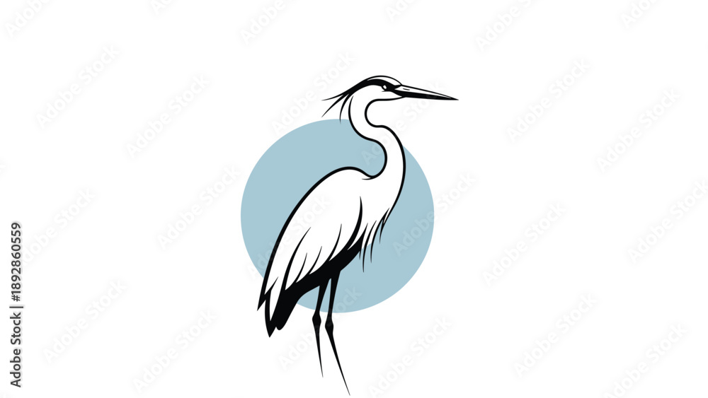 Fototapeta premium Elegant heron bird standing on thin legs in front of a blue circular background in a minimalist vector illustration style.