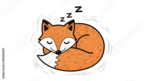 Cute Sleeping Fox Curled Up in a Ball.