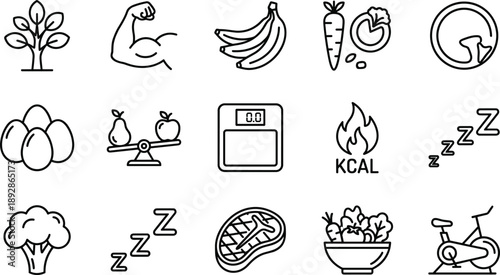 Healthy lifestyle and fitness line icons set featuring nutrition, diet, exercise, calories, sleep, weight balance, strength, and wellness symbols for health and fitness app UI design