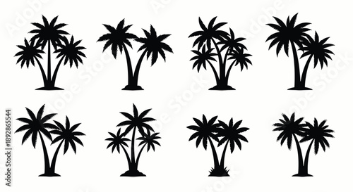 Collection of Black Palm Tree Silhouettes tropical