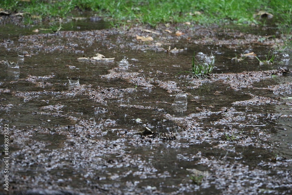 Fototapeta premium heavy rain falls on the street and splashes in the puddles 