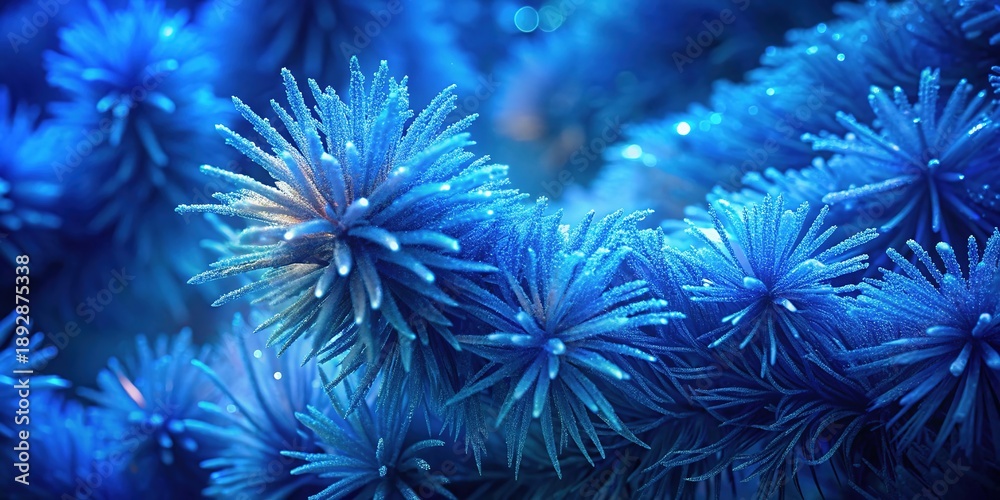 Fototapeta premium Blue frosted pine needle close-up reveals intricate details of nature's beauty in winter's chill