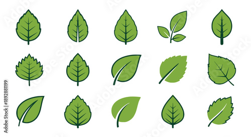 Set of 16 green leaf icons vector isolated PNG with Transparent Background