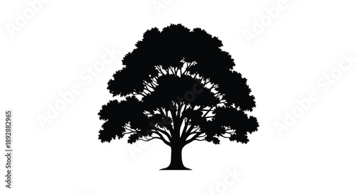 Silhouette of a tree branch against a stark white background