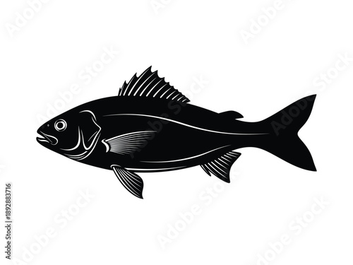 Detailed Fish Silhouette Vector Illustration, Ideal for Aquatic Life and Seafood Designs