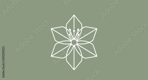 Geometric Abstract Flower Design with Six Petals.