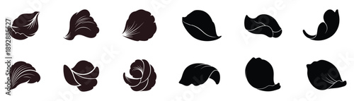 Set of realistic flower petal vector illustrations isolated on transparent background creative elements