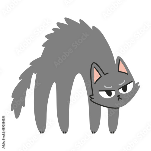 Angry fluffy cat with arched back. Trendy modern vector illustration isolated on white background, hand drawn, flat design
