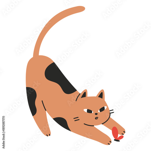 A cute cat plays with a butterfly and catches it. Trendy modern vector illustration isolated on white background, hand drawn, flat design