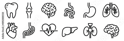 Human Internal Organ Line Icon Illustration, linear vector of liver, tooth, brain, stomach, heart, lung, urinary system, bone, skin layer, and intestine for healthcare, medical, and anatomy design.