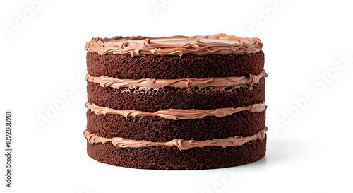 Photorealistic studio photograph of a rich chocolate cake, freshly baked and isolated on a pure white seamless background.