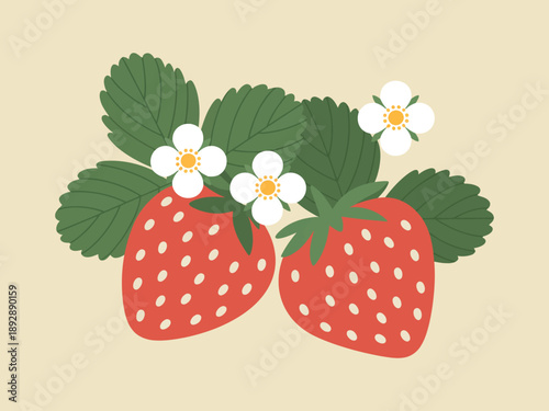 Strawberry Fruit Illustration, ripe red strawberry with green leaves and white flowers, flat vector design for organic food labels, spring and summer recipes, and kitchen decor.