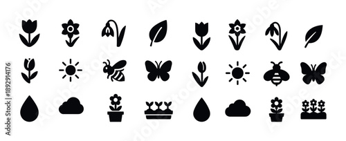 Nature icons set: flowers, insects, weather elements in black silhouettes