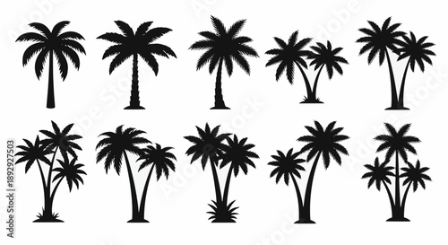 Palm Tree Silhouettes Collection tropical nature