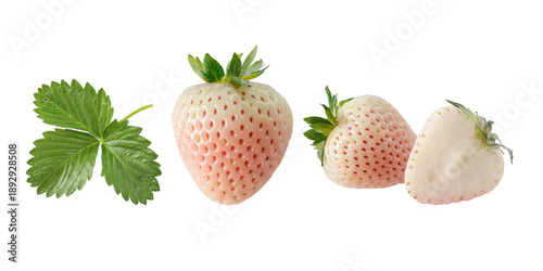 Whole and half white strawberry or pineberry berries  with leaf isolated on white. Healthy food collection.