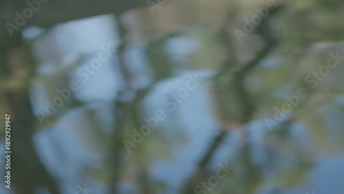Reflection of Nature: Abstract scene capturing the mirrored image of foliage and sky, rendered in soft focus and ethereal colors.