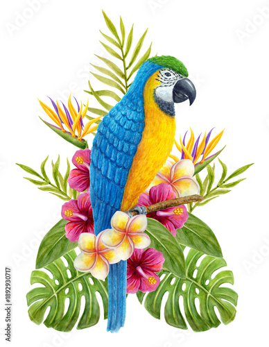 Parrot with tropical bouquet of hibiscus flowers, frangipani, greenery of monstera leaf and palm fronds. Exotic floral composition, watercolor painting.