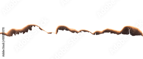 Tableau sur toile Burnt paper edge on white background