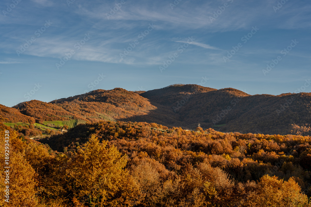 Obraz premium Molise is an Italian region with a stretch of coast overlooking the Adriatic Sea. It includes a part of the Abruzzo National Park in the Appennine mountain range, with a rich wildlife and trails.