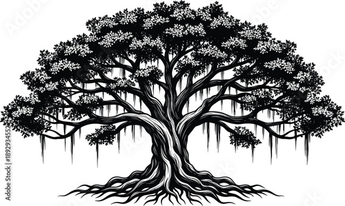 PrintDetailed black banyan tree silhouette with intricate roots and hanging moss isolated on white background for vintage nature logos and botanical vector illustrations
