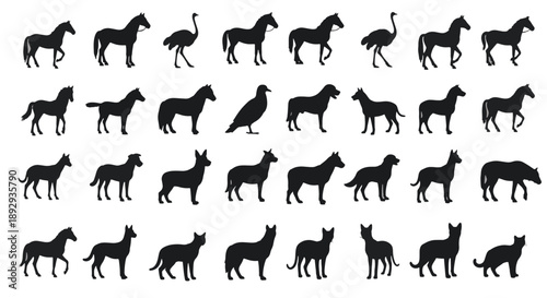 Silhouette Collection Of Various Animals horse ostrich